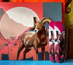 Below Skateboards The Ram Skateboard Deck 9 Below Skateboards The Ram Skateboard Deck -Skateshop24 Skateboard IMG 6157 1280x1280