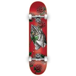 DGK Divine Komplettboard - 8.0