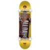 DGK Wrapped Up Komplettboard - 7.75 -Skateshop24 Skateboard hc 1103 7 75 1 1280x1280