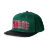 Primitive Collegiate Arch Snapback Cap - Green -Skateshop24 Skateboard pa323h02 grn 1 1280x1280