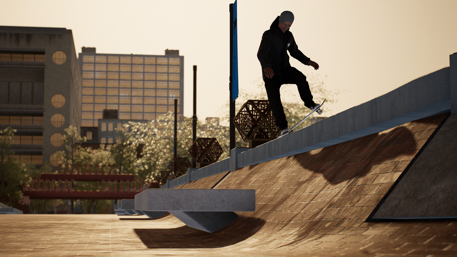 Skateshop24 Skateboard 2 Skateshop24 Skateboard -Skateshop24 Skateboard