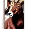 Below Skateboards The Ram Skateboard Deck 2 Below Skateboards The Ram Skateboard Deck -Skateshop24 Skateboard theram 01 1280x1280