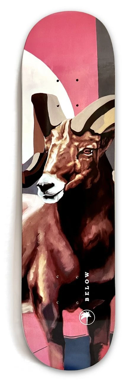 Below Skateboards The Ram Skateboard Deck 3 Below Skateboards The Ram Skateboard Deck