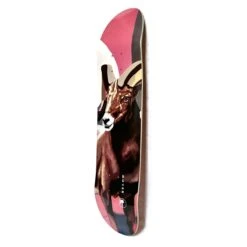 Below Skateboards The Ram Skateboard Deck 8 Below Skateboards The Ram Skateboard Deck -Skateshop24 Skateboard theram 02 1280x1280